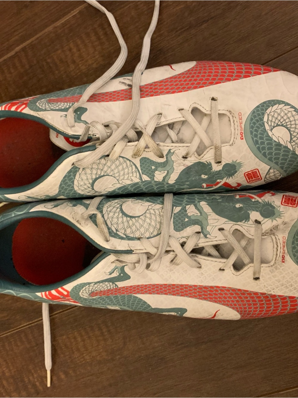 Men’s puma soccer cleats with Teal and Coral Dragon Design